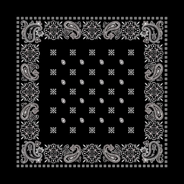 Square Paisley Bandana