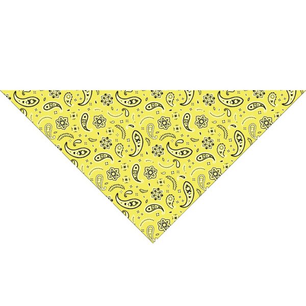 All Over Paisley Triangle Bandanas