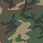 Woodland Camo