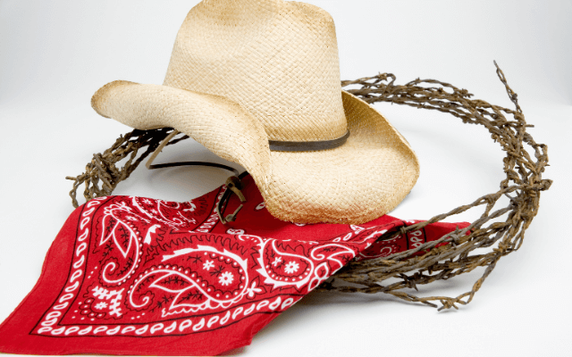 Cowboy hat, red bandana and a barbed wire